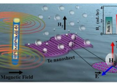 Indian Scientists Develop Nanosheets to Improve Clean Hydrogen Production