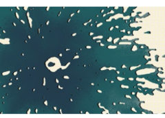 Scientists have discovered two surprising patterns in flowing soil