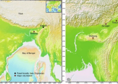 Indian researchers studied the fragrant kewra plant